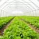 Sustainable Uses of Industrial CO2