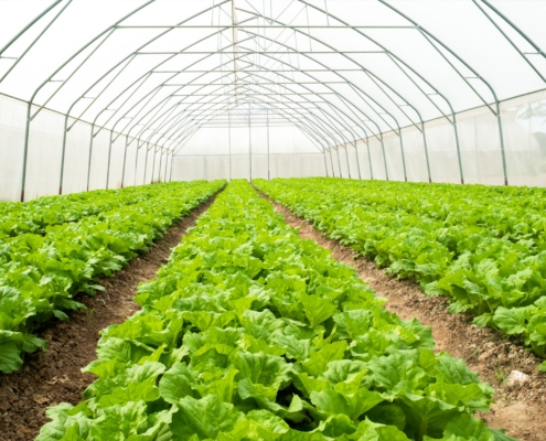 Sustainable Uses of Industrial CO2